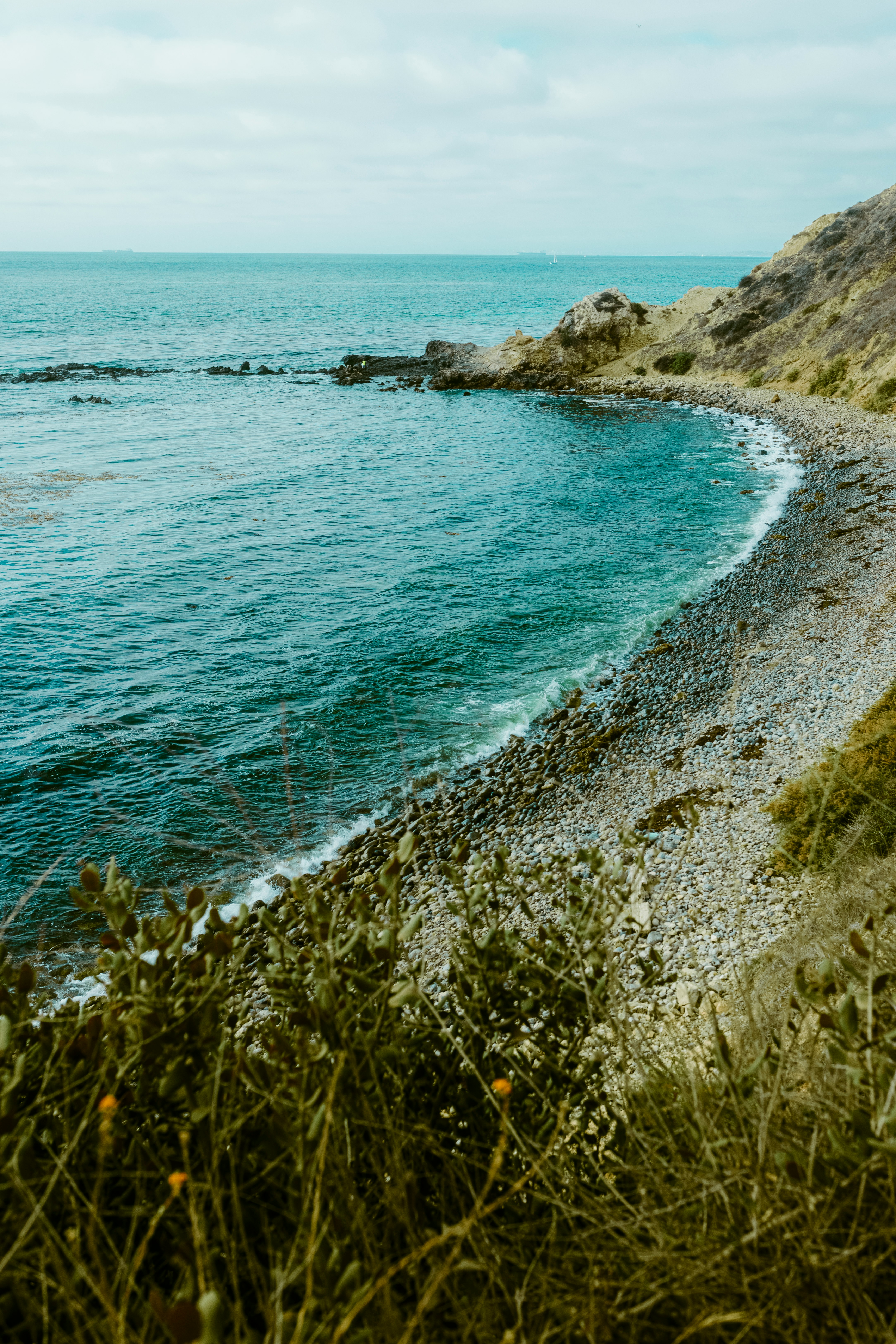 green grass on seashore during daytime